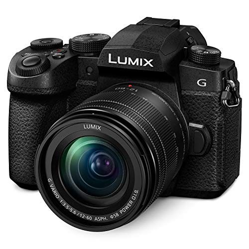 Panasonic 20.3 Megapixel Mirrorless Camera 12-60mm F3.5-5.6 Micro Four Thirds Lens 5-Axis Dual I.S. 2 4K 24p 30p Video Pre Installed L 3” Flip Out