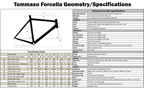 Tommaso Forcella Endurance Aluminum Road Bike, Carbon Fork, Shimano Claris R2000, 24 Speeds, Aero Wheels - Matte White - Large