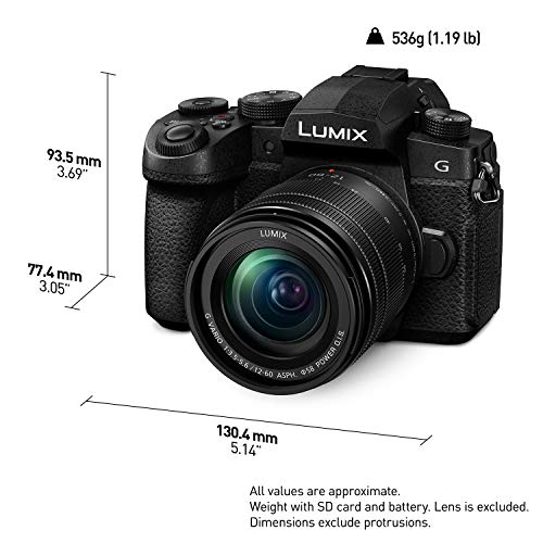Panasonic 20.3 Megapixel Mirrorless Camera 12-60mm F3.5-5.6 Micro Four Thirds Lens 5-Axis Dual I.S. 2 4K 24p 30p Video Pre Installed L 3” Flip Out