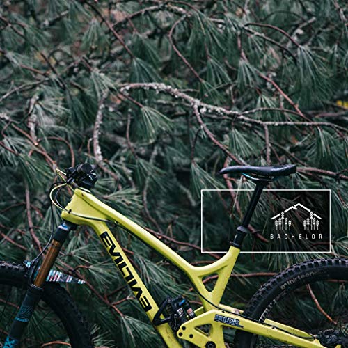 PNW Components Bachelor Dropper Post w/Loam Lever & 3-Year Warranty (34.9mm/170mm Travel)