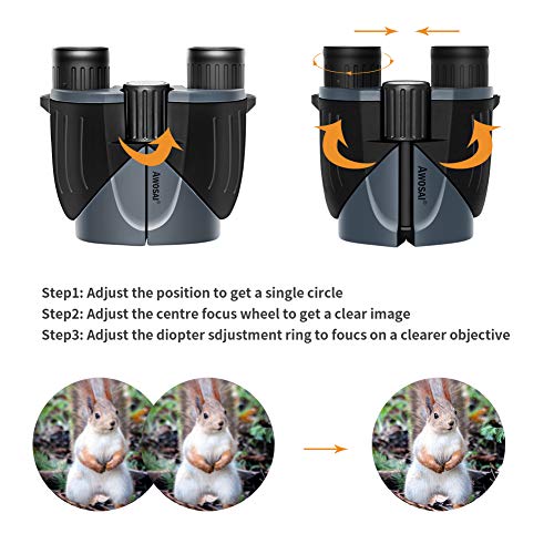 10x25 Compact Binoculars for Adults and Kids, Small Mini Pocket Folding Binoculars with Low Light Night Vision, BAK4 Prism FMC Lens, Great for Bird Watching, Outdoor Hunting, Sports and Concert