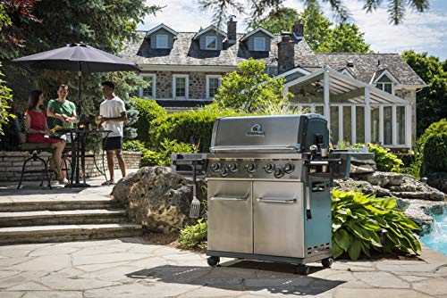 Broil King Regal 420 4 Burner Liquid Propane Gas Grill - Black
