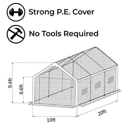 Abba Patio 10 x 20-Feet Large Walk in Fully Enclosed Lawn and Garden Greenhouse with Windows, White