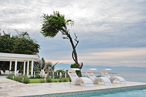 Ledge Lounger in-Pool Chaise Deep Lounge for 10-15 in. of Water (Set of 2, White)
