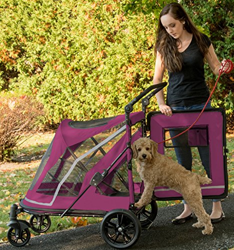 Pet Gear NO-ZIP Stroller Push Button Dual Entry Single Or Multiple Dogs/Cats Can Easily Walk In/Out No Need To Lift Boysenberry Expedition