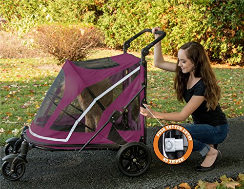 Pet Gear NO-ZIP Stroller Push Button Dual Entry Single Or Multiple Dogs/Cats Can Easily Walk In/Out No Need To Lift Boysenberry Expedition