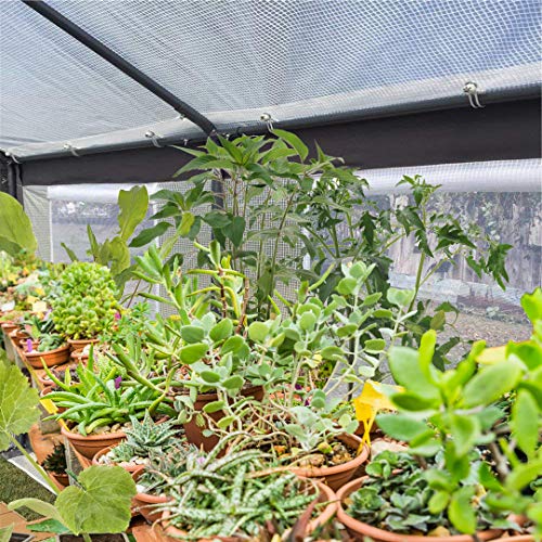 Abba Patio 10 x 20-Feet Large Walk in Fully Enclosed Lawn and Garden Greenhouse with Windows, White