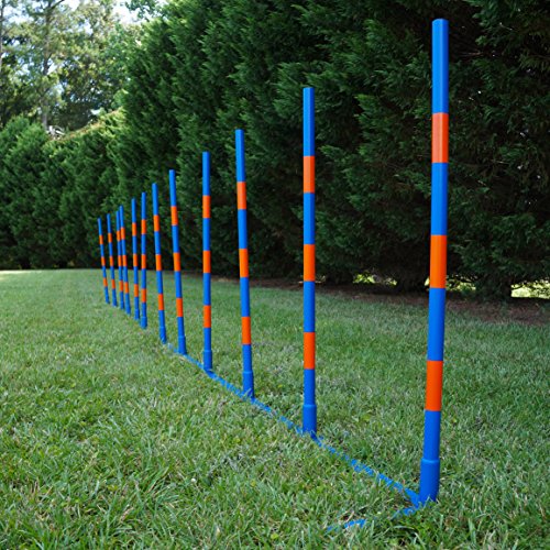 Lord Anson Dog Agility Weave Poles - Competition Grade Adjustable Agility Weave Pole Set - Dog Agility Equipment Set - 12 Weave Pole Set w/Carrying Case