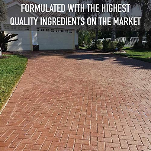 5 Gallon DOMINATOR LG+ Wet Look, Low Gloss Paver Sealer - Covers up to 2,000 Square feet