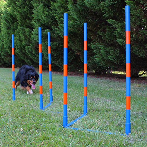 Lord Anson Dog Agility Weave Poles - Competition Grade Adjustable Agility Weave Pole Set - Dog Agility Equipment Set - 12 Weave Pole Set w/Carrying Case