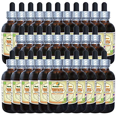 Pennyroyal (Mentha Pulegium) Tincture, Organic Dried Herb Liquid Extract (Brand Name: HerbalTerra, Proudly Made in USA) 30x2 fl.oz (30x60 ml)