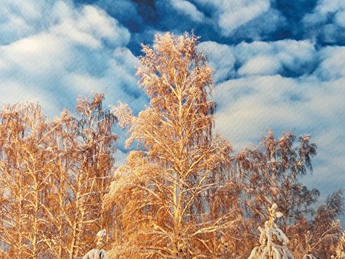 13" X 19" Cold Press Watercolor Fine Art Inkjet Paper - 50 Sheets