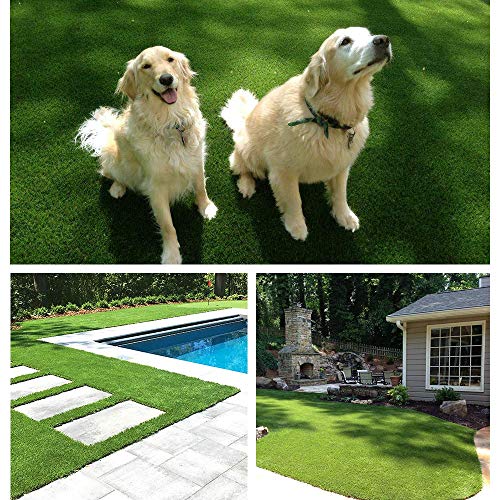 Fas Home Artificial Grass Turf 9FTX81FT(729Square FT),0.8" Pile Height Realistic Synthetic Grass, Drainage Holes Indoor Outdoor Faux Grass Astro Rug Carpet for Pet Dog Garden Backyard Balcony