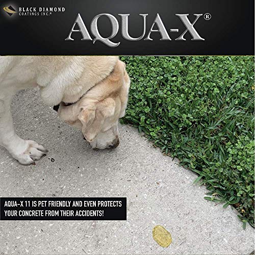 5 Gallon AQUA-X 11 Clear, Penetrating Concrete Sealer – Mold and Mildew Inhibitor