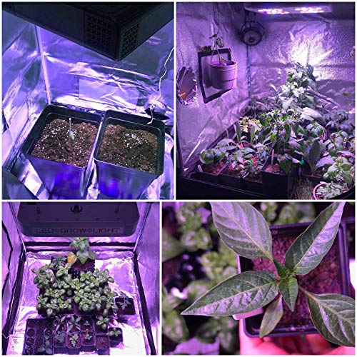 LEDTonic Z5 - 118W LED Grow Light Veg/Bloom - Full Spectrum Quiet, Cool Lamp for Indoor Growing - Perfect for M Tent and 1-4 Large Plants - 630 PPFD at 18" - 3-Year 100% Diode Warr, Lifetime Supp