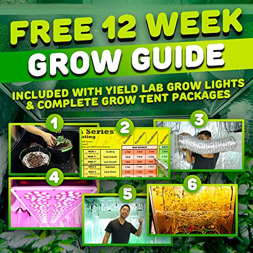 Yield Lab 600W HPS+MH Air Cool Hood Reflector Grow Light Kit