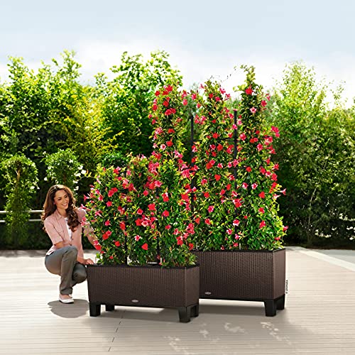 Lechuza 15025 Trio Cottage 40 Garden Indoor and Outdoor Use, Mocha Wicker Self-Watering Planter, 3 @ 13.5" sq