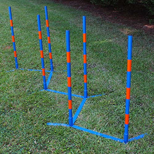Lord Anson Dog Agility Weave Poles - Competition Grade Adjustable Agility Weave Pole Set - Dog Agility Equipment Set - 12 Weave Pole Set w/Carrying Case