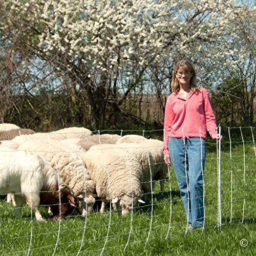 Premier ElectroStop Goat & Sheep Electric Fence, 42" H x 164' L, Double Spike, WhitePremier