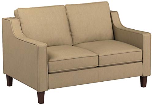 Stone & Beam Blaine Modern Loveseat Sofa - 55.9 Inch, Beige