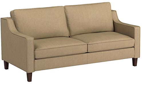 Stone & Beam Blaine Modern Sofa - 79.5 Inch, Beige