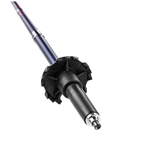 LEKI Micro Vario Carbon Pole - Women's