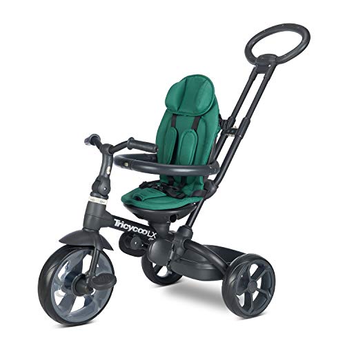 Joovy Tricycoo LX - Pine