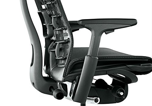Herman Miller Embody Ergonomic Office Chair | Fully Adjustable Arms and Carpet Casters | Blue Moon Balance