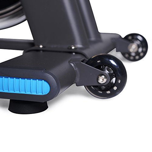 L NOW Indoor Cycling Bike Indoor Exercise Bike Stationary- Belt Drive with 44LBS Stable Flywheel,Heart Rate and LCD Monitor Commercial Standard for Home Cardio (LD577) (Blue)
