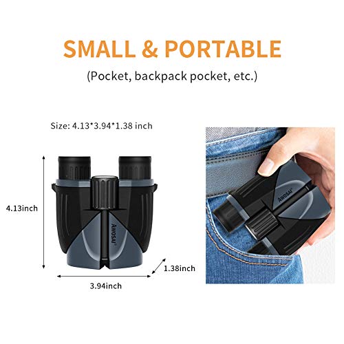 10x25 Compact Binoculars for Adults and Kids, Small Mini Pocket Folding Binoculars with Low Light Night Vision, BAK4 Prism FMC Lens, Great for Bird Watching, Outdoor Hunting, Sports and Concert