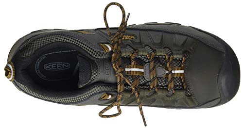 KEEN Men's Targhee 3 Low Height Waterproof Hiking Shoe, Black Olive/Golden Brown, 10.5