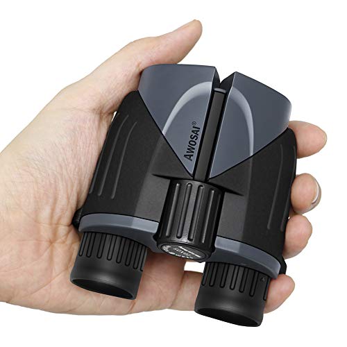 10x25 Compact Binoculars for Adults and Kids, Small Mini Pocket Folding Binoculars with Low Light Night Vision, BAK4 Prism FMC Lens, Great for Bird Watching, Outdoor Hunting, Sports and Concert