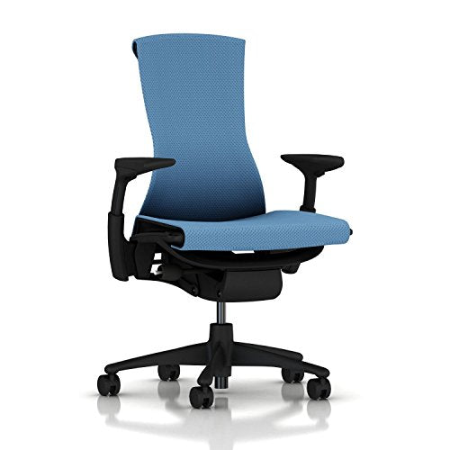 Herman Miller Embody Ergonomic Office Chair | Fully Adjustable Arms and Carpet Casters | Blue Moon Balance