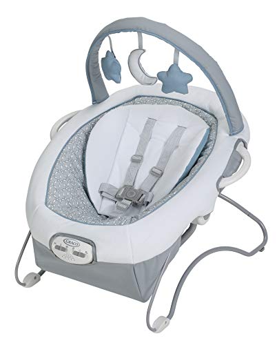 Graco Duet Sway Swing with Portable Rocker, Roam