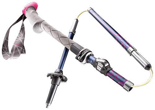 LEKI Micro Vario Carbon Pole - Women's