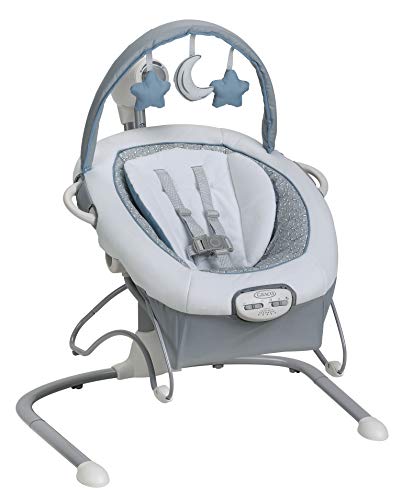 Graco Duet Sway Swing with Portable Rocker, Roam