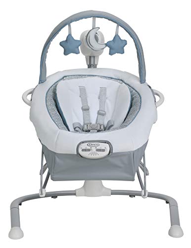 Graco Duet Sway Swing with Portable Rocker, Roam