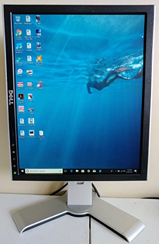 17" Dell 1708FPb DVI Rotating LCD Monitor w/USB Hub (Silver/Black) - Rotates to Portrait or Landscape View!