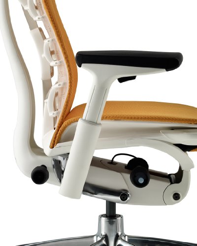 Herman Miller Embody Ergonomic Office Chair | Fully Adjustable Arms and Carpet Casters | Blue Moon Balance