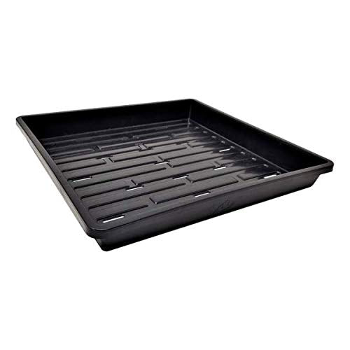 1010 1.25" Tray with Hole 60 Pack