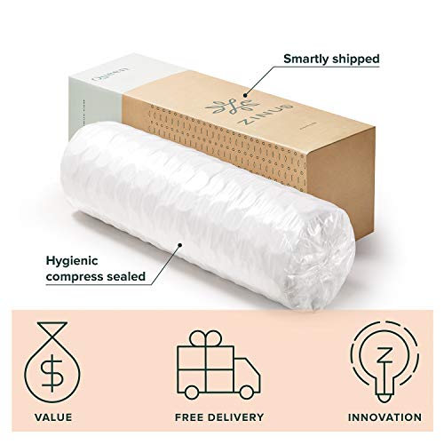 Zinus 10 Inch Mint Green Memory Foam Hybrid Spring Mattress, Queen