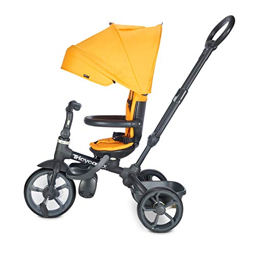 Joovy Tricycoo LX - Zinnia, Zinna