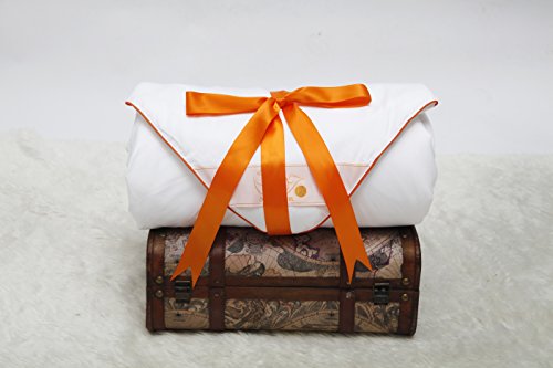 Silk Camel Luxury Allergy Free Comforter Filled with 100% Natural Long Strand Mulberry Silk for Fall/Autumn - King Size