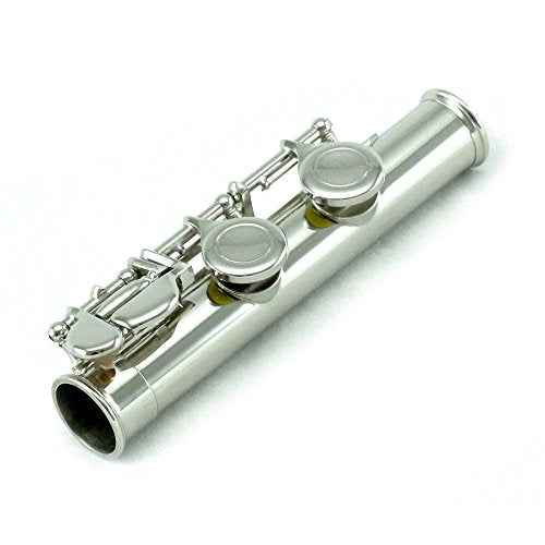 Sky C Flute with Lightweight Case, Cleaning Rod, Cloth, Joint Grease and Screw Driver -  Curved Silver