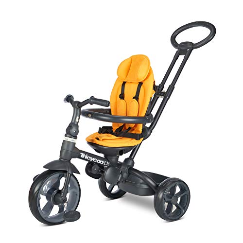 Joovy Tricycoo LX - Zinnia, Zinna