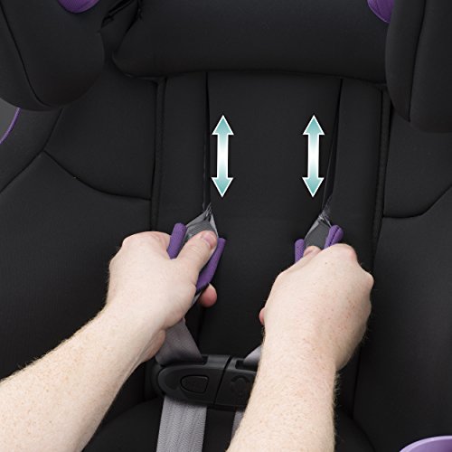 Evenflo SafeMax Platinum All-in-One Convertible Car Seat, Madalynn