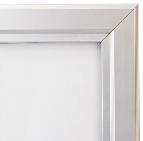 11 x 17 Outdoor Poster Case with Locking, Hinged Door, Includes Rubber Gasket to Prevent Damage from Moisture, Aluminum (Silver)