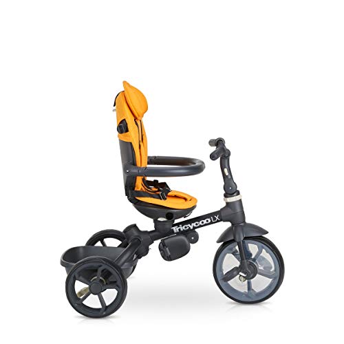 Joovy Tricycoo LX - Zinnia, Zinna