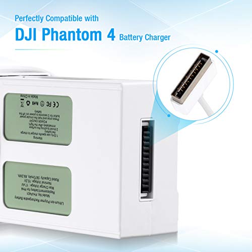 Powerextra High Capacity 2-Pack Phantom 4 LiPo Flight Battery + Battery Safe Bag Replacement for DJI Phantom 4, Phantom 4 Pro, Phantom 4 Pro V2.0, Phantom 4 Advanced Drone
