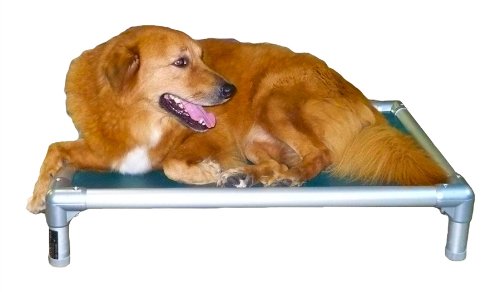 Kuranda All-Aluminum (Silver) Chewproof Dog Bed - XL (44x27) - 40 oz. Vinyl - Burgundy
